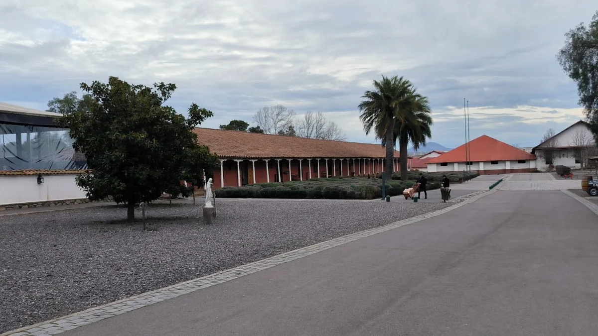 Traslado a Viña Santa Rita en Alto Jahuel